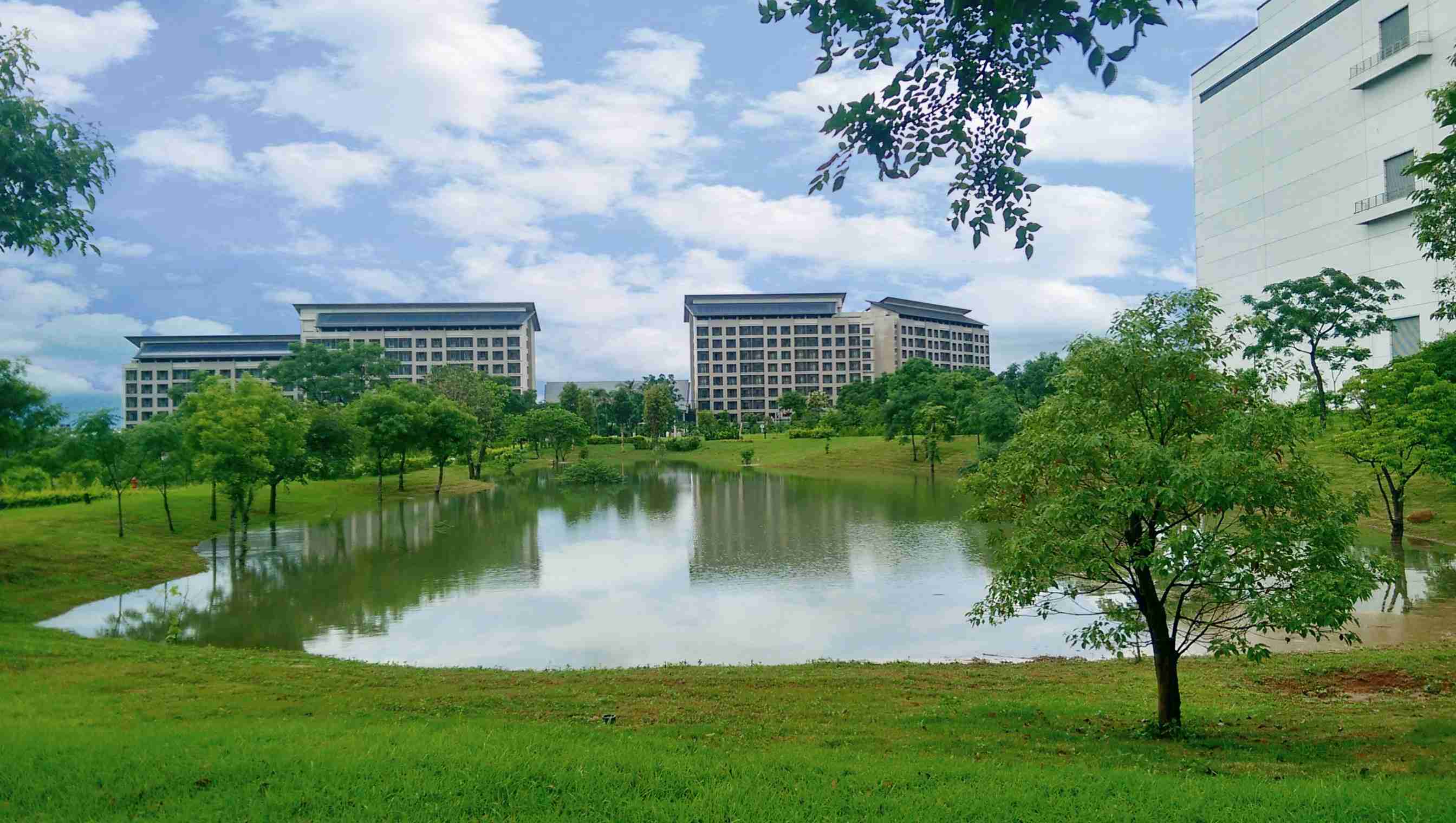 森林舞会响应国际倡议生物多样性趋势，，，，首次发布TNFD自然相关财务揭露报告书，，，，擘划及开展森林舞会生物多样性政策之承诺，，，，逐步迈向与自然和谐共生